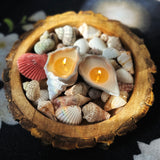Goa Glow Shell Candles (Set of 2)