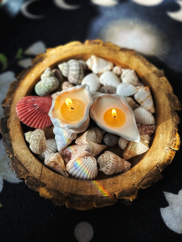 Goa Glow Shell Candles (Set of 2)