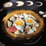 Goa Glow Shell Candles (Set of 2)