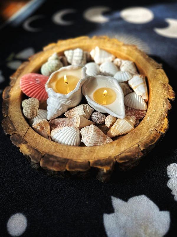 Goa Glow Shell Candles (Set of 2)