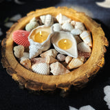 Goa Glow Shell Candles (Set of 2)