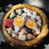 Goa Glow Shell Candles (Set of 2)