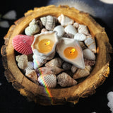 Goa Glow Shell Candles (Set of 2)