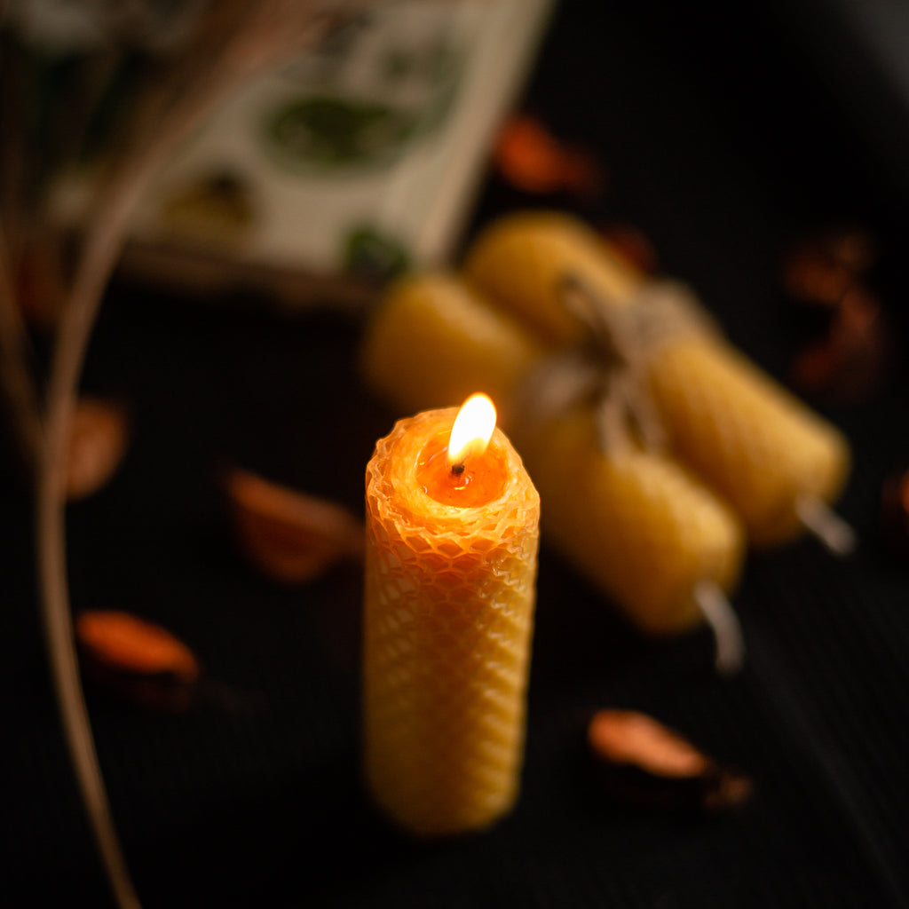 Hand-Rolled Beeswax Candles